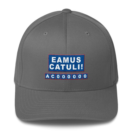 * LIMITED EDITION * EAMUS CATULI - Chicago Baseball - Hat